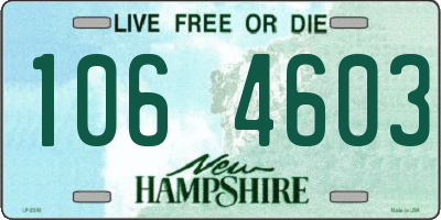 NH license plate 1064603