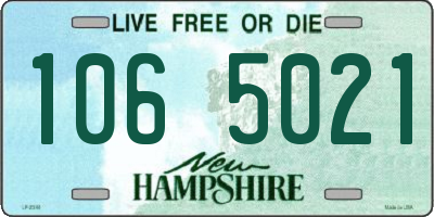 NH license plate 1065021