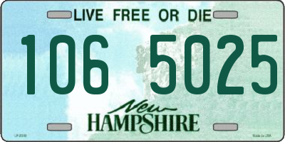 NH license plate 1065025