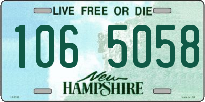 NH license plate 1065058