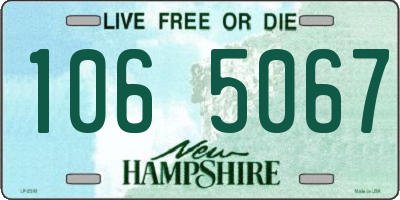 NH license plate 1065067