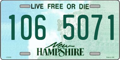 NH license plate 1065071
