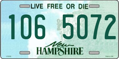 NH license plate 1065072