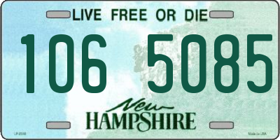 NH license plate 1065085