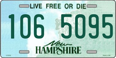 NH license plate 1065095