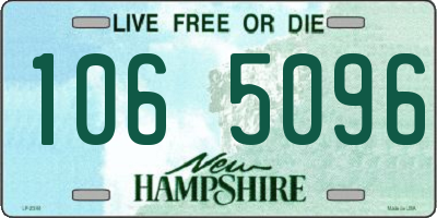 NH license plate 1065096
