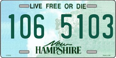 NH license plate 1065103