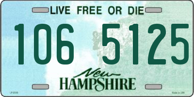 NH license plate 1065125
