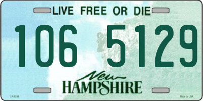 NH license plate 1065129