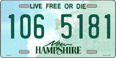 NH license plate 1065181