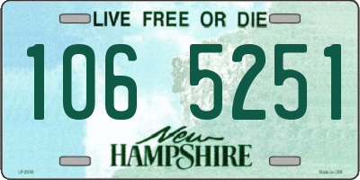 NH license plate 1065251