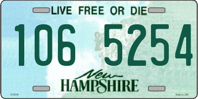 NH license plate 1065254