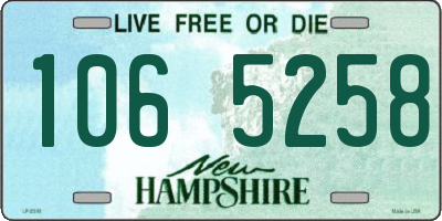 NH license plate 1065258