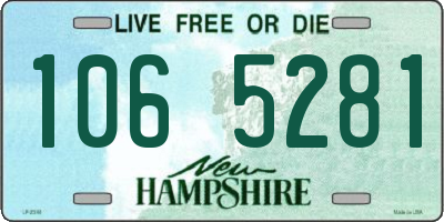 NH license plate 1065281
