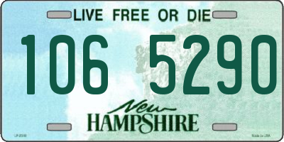NH license plate 1065290