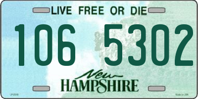 NH license plate 1065302