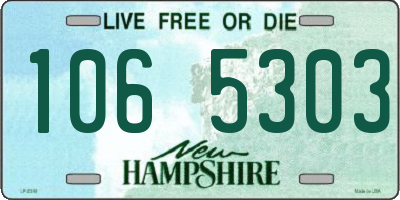 NH license plate 1065303