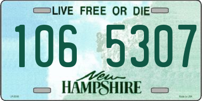 NH license plate 1065307