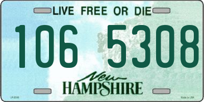 NH license plate 1065308