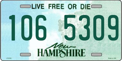 NH license plate 1065309
