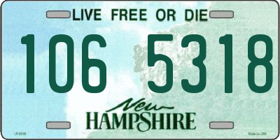 NH license plate 1065318