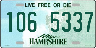 NH license plate 1065337