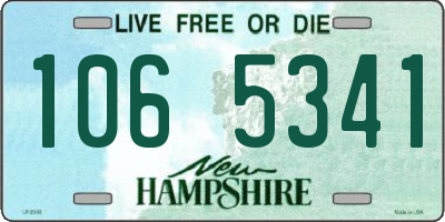 NH license plate 1065341