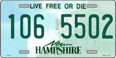 NH license plate 1065502