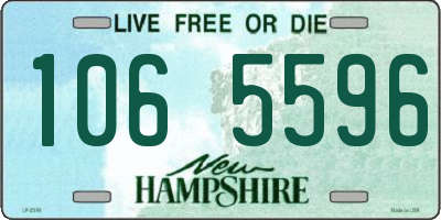 NH license plate 1065596