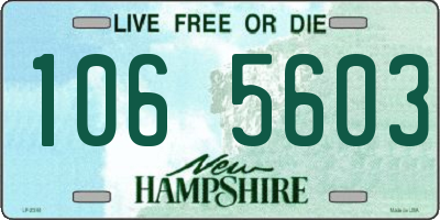 NH license plate 1065603