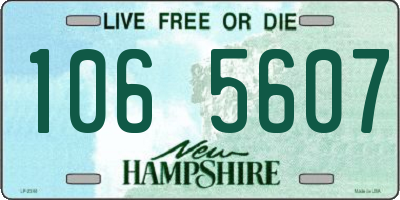 NH license plate 1065607