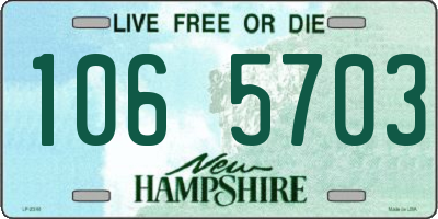 NH license plate 1065703