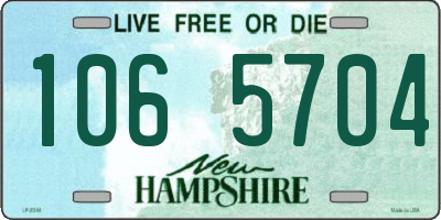 NH license plate 1065704