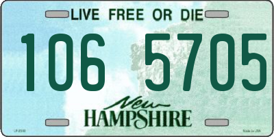 NH license plate 1065705