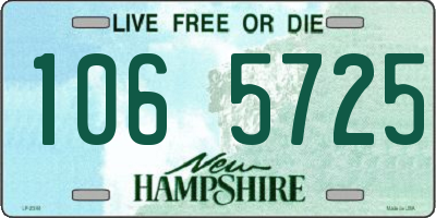 NH license plate 1065725