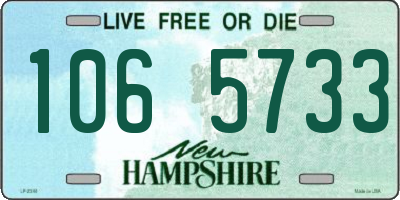 NH license plate 1065733