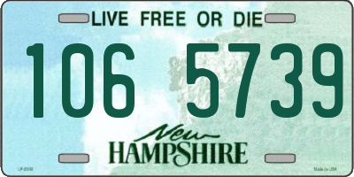 NH license plate 1065739