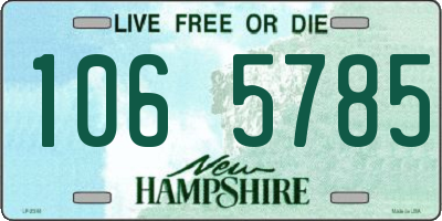 NH license plate 1065785