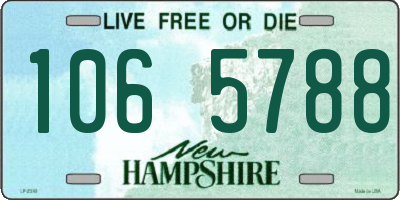 NH license plate 1065788
