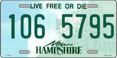NH license plate 1065795