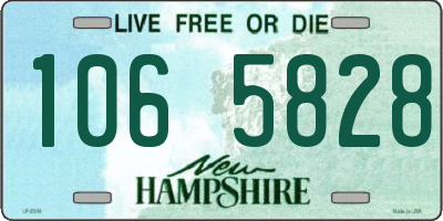 NH license plate 1065828