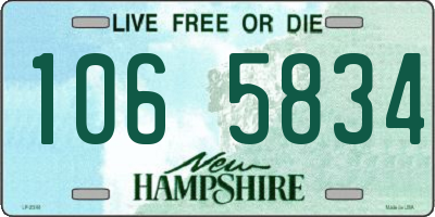 NH license plate 1065834