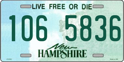 NH license plate 1065836