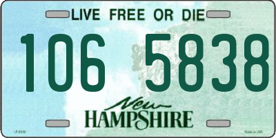 NH license plate 1065838