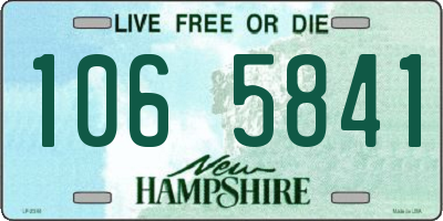 NH license plate 1065841