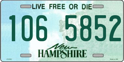 NH license plate 1065852