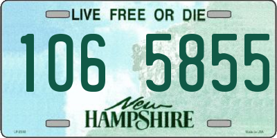 NH license plate 1065855