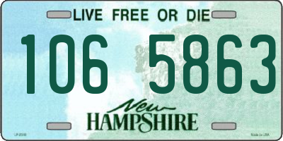 NH license plate 1065863