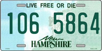 NH license plate 1065864