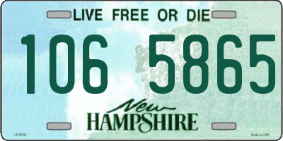 NH license plate 1065865